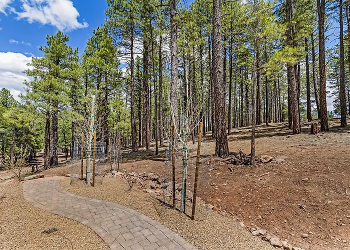 At Coyote Pass * Flagstaff